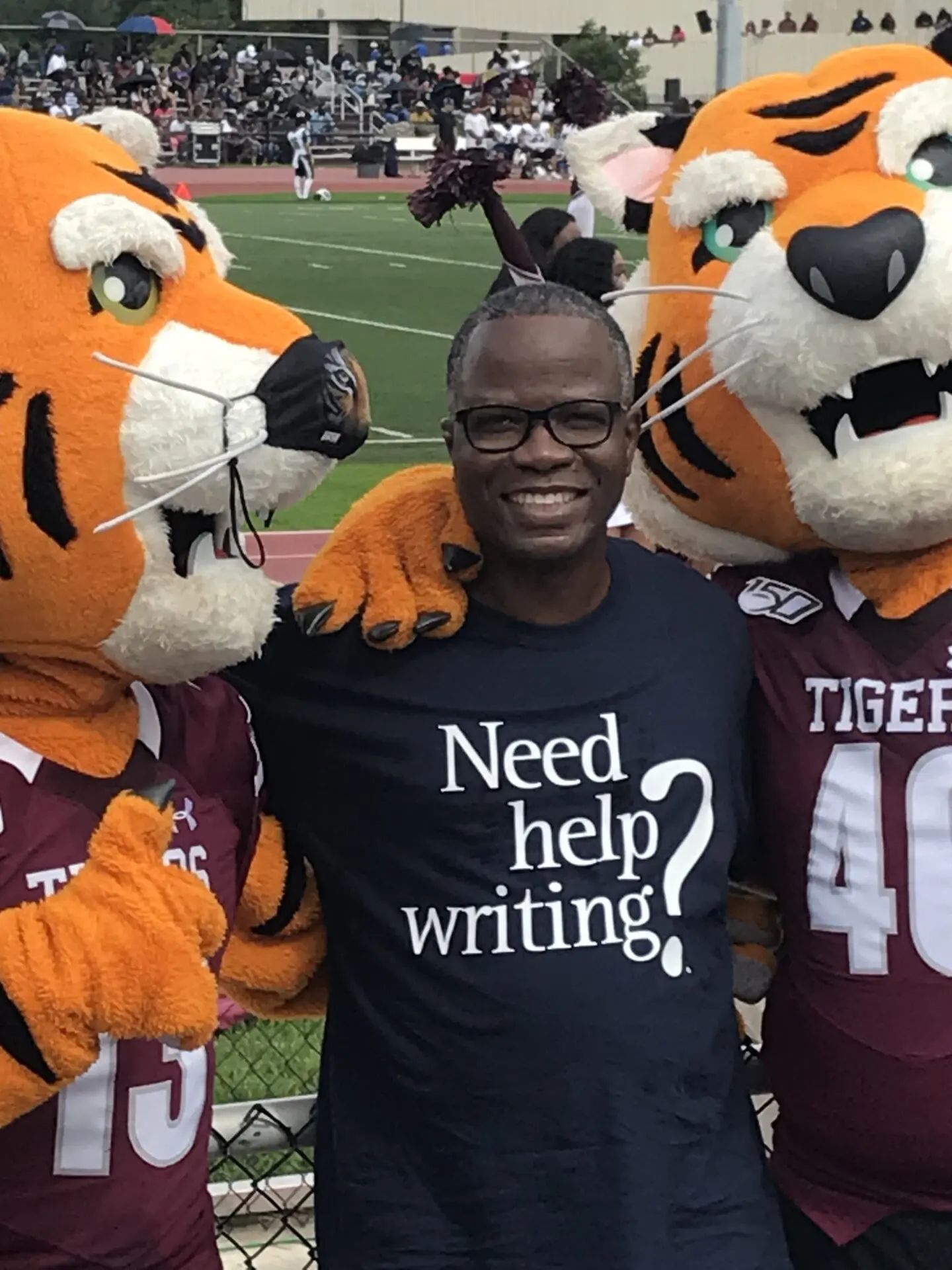 A man standing next to two tigers on the field.