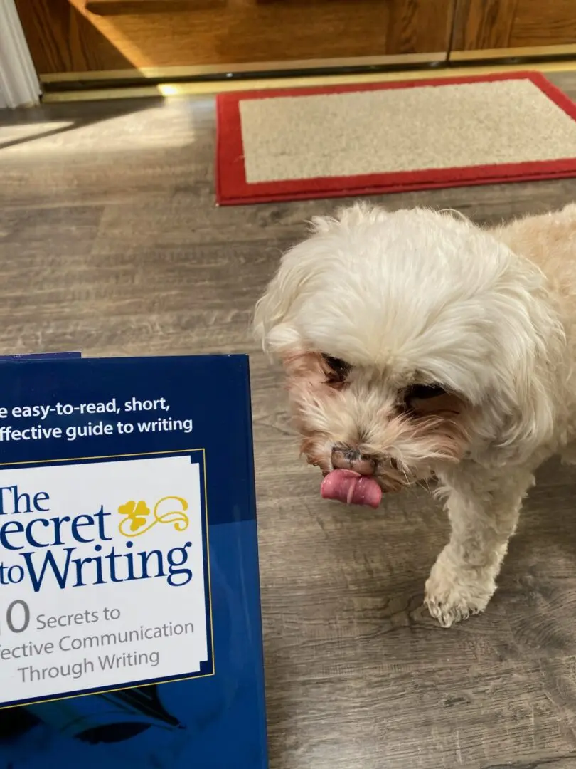 A white dog standing next to a book.